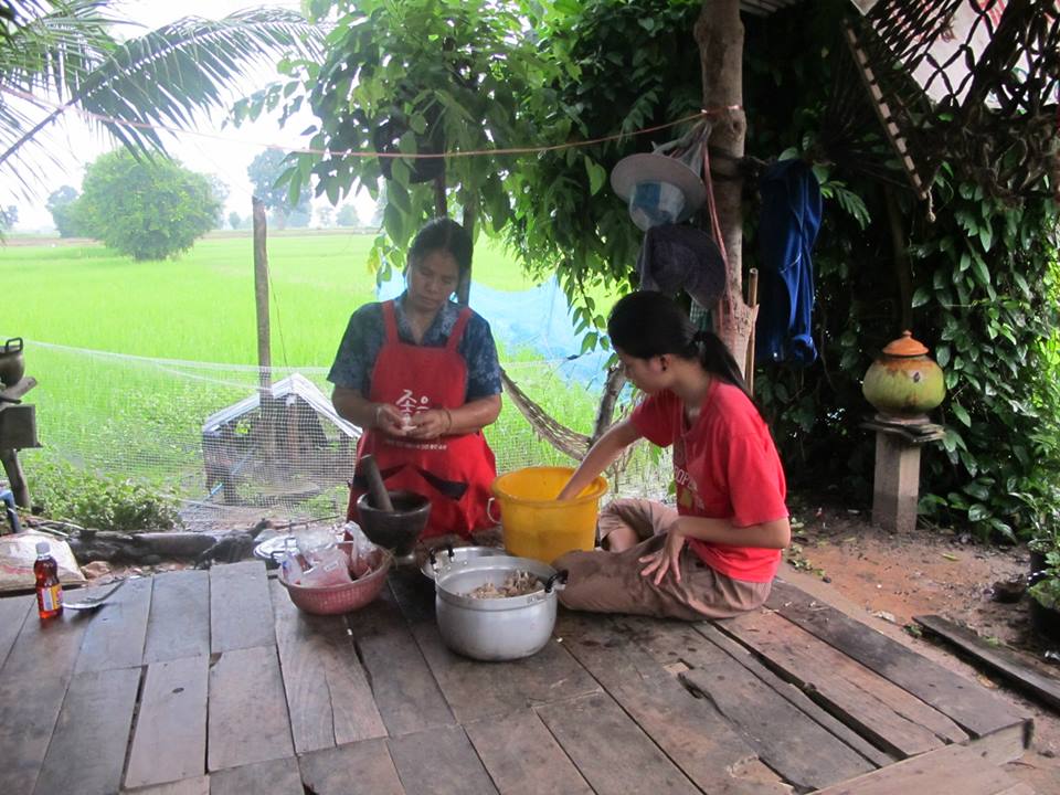 ของกินพื้นบ้าน เห็ดโคนบ้านเรา