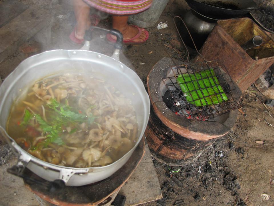 ของกินพื้นบ้าน เห็ดโคนบ้านเรา