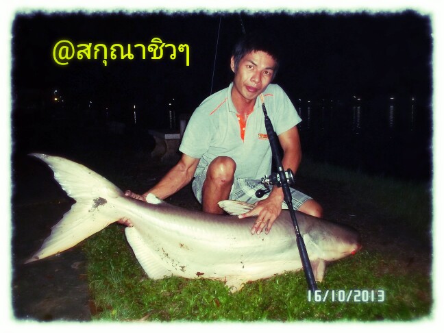 สกุณาอีกแว้ว