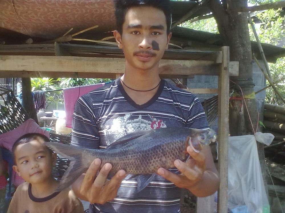 วันว่างๆ กับ ปลากา ดำ