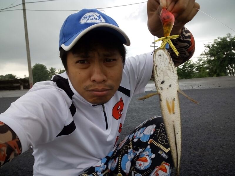 ผลงานดีๆ กับ DK frog