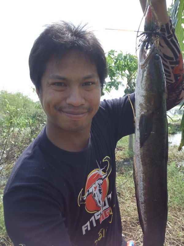 ผลงานดีๆ กับ DK frog