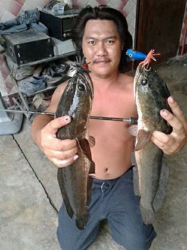 ผลงานดีๆ กับ DK frog