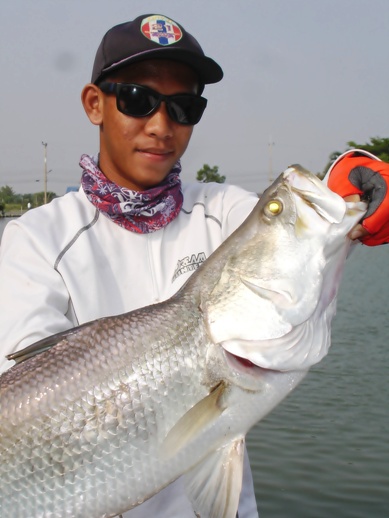 เทสบ่อหนุ่ม