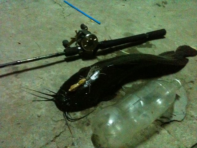 เด็กใหม่หัดทำ ลองทำเล่น 