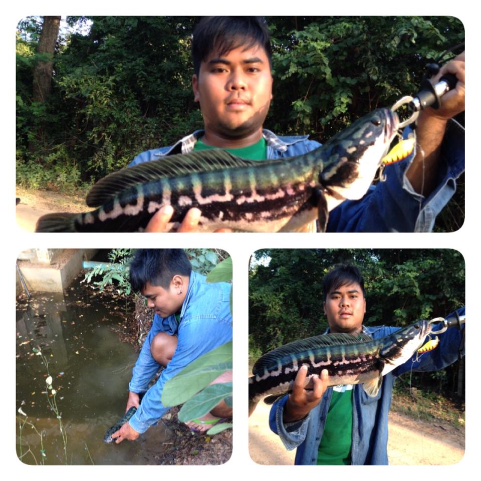 ความสุขเล็กๆๆน้อย
