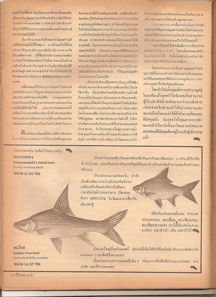 อุลตร้าไลท์ แทคเคิ่ล