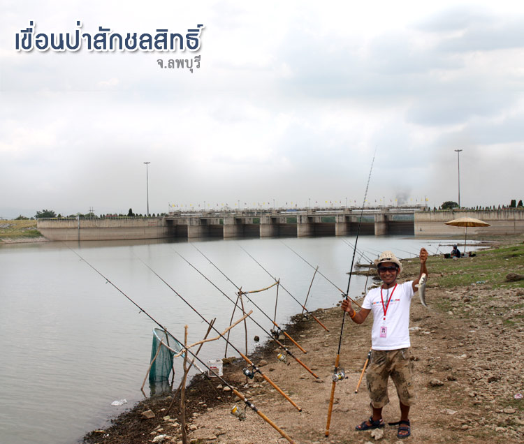 หลังจากสงสัยมานาน