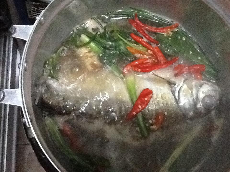 ของฝากจากเขาแหลม