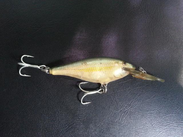 ขอสอบถามเหยื่อrapala