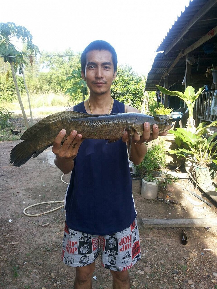 ตัวเดียวเอง กับเช้าวันอาทิตย์