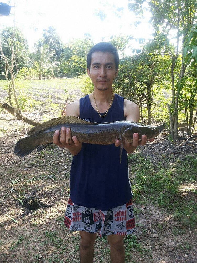 ตัวเดียวเอง กับเช้าวันอาทิตย์
