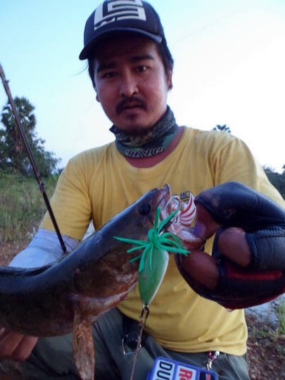 ช่อนนาน้ำท่วม (เพชรบุรี) 