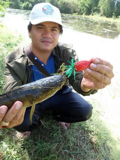ช่อนนาน้ำท่วม (เพชรบุรี) 
