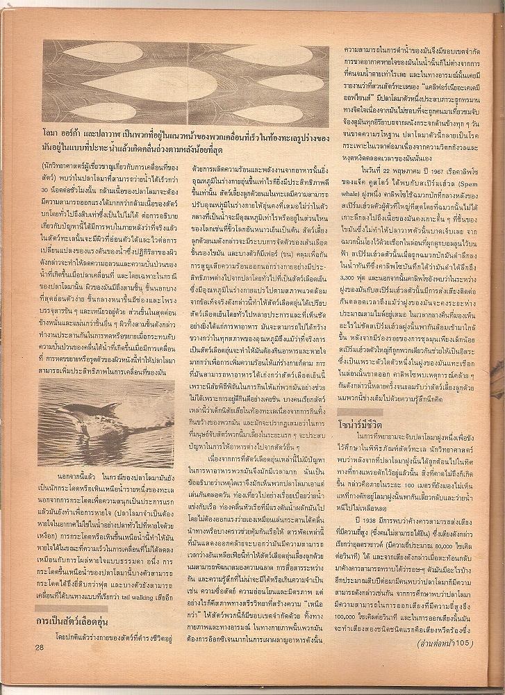 ซูปรีมแห่งท้องทะเล