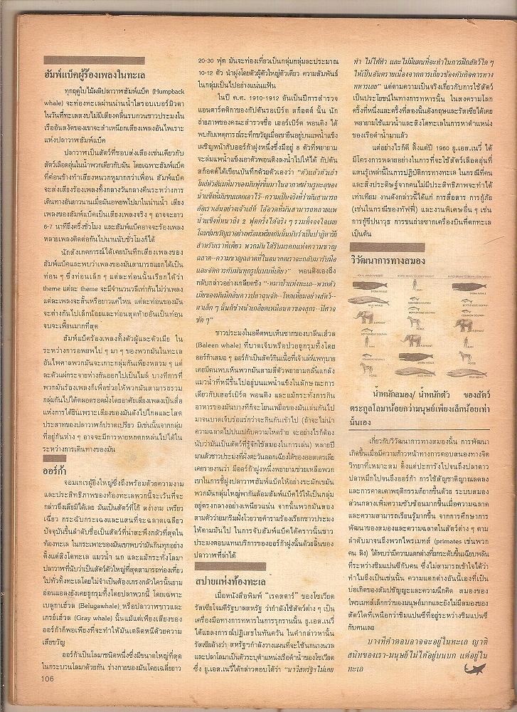 ซูปรีมแห่งท้องทะเล