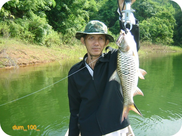 พาเด็กไปเปิดบริสุทธิ์.......(กับชะโดเขื่อนศรีฯ)