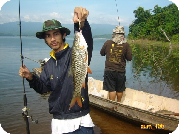 พาเด็กไปเปิดบริสุทธิ์.......(กับชะโดเขื่อนศรีฯ)