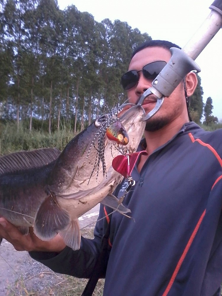 R Bung "Bai" จัดเต็มทุกที่ 