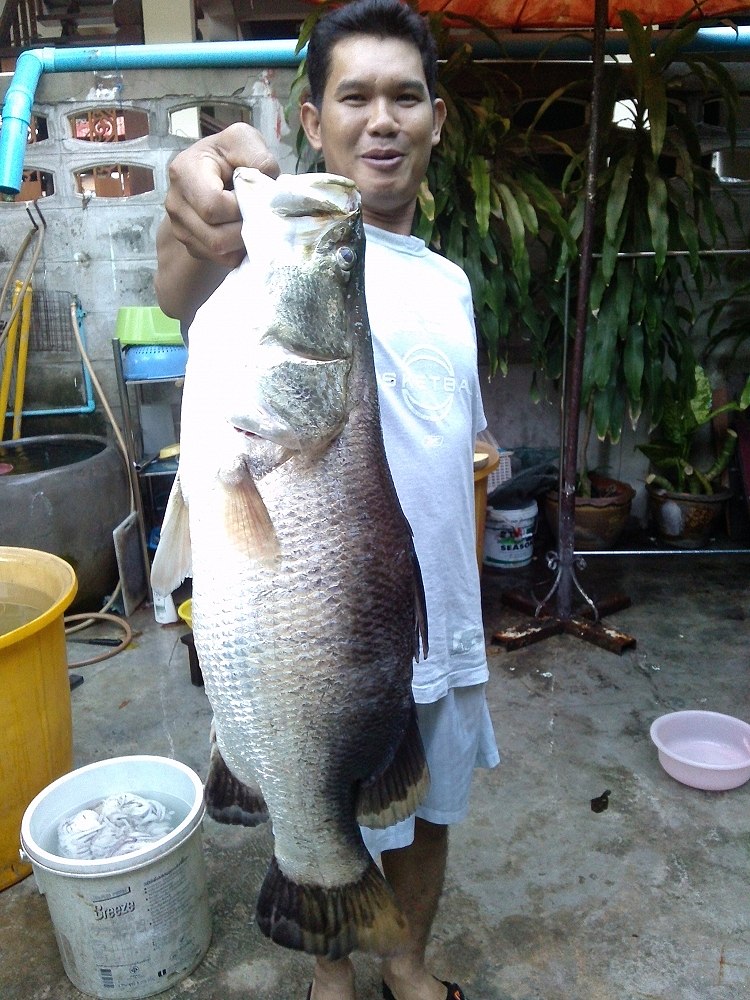 ตัวเดียวกินไม่หมดทั้งงาน