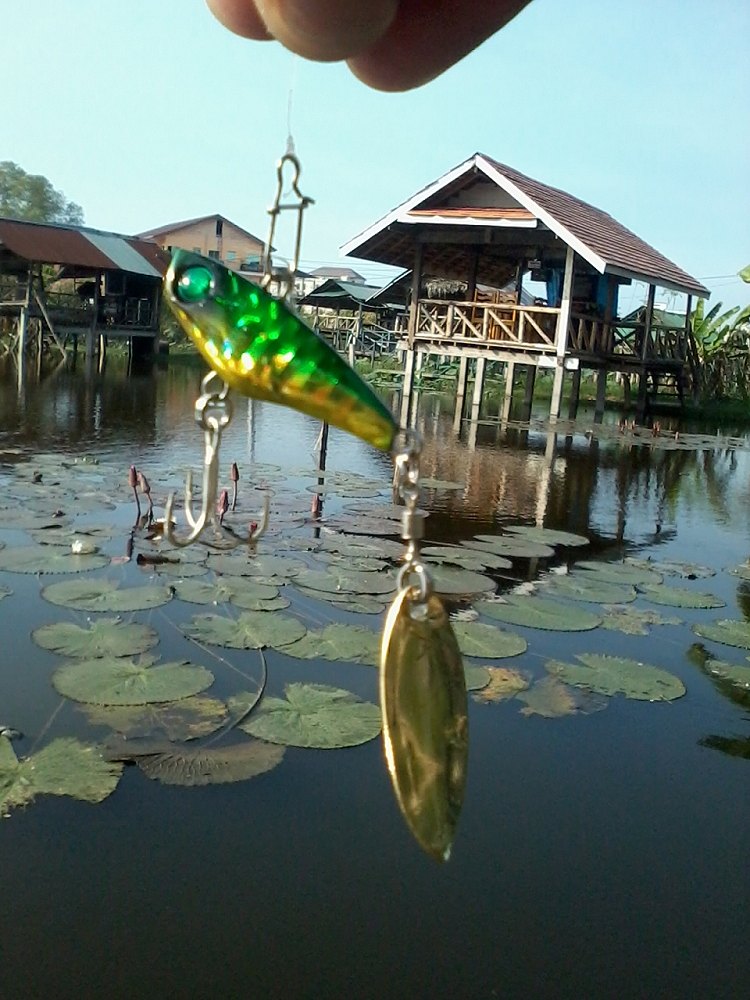 >> จิ๊กสปินจิ๋วกับปลาช่อนพัทยา <<