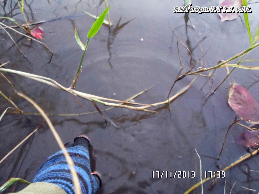 ...ช่อนท้องนา..พัทลุง..ยามเย็น..