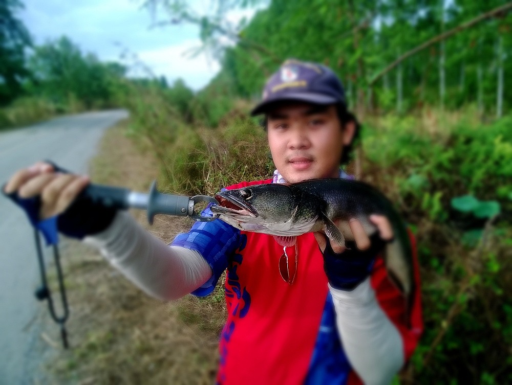 @  .. มัน ๆ ชะโดนา .. @