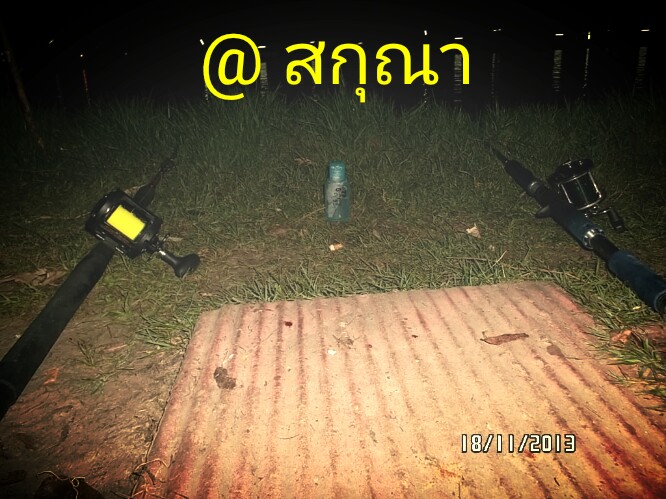 วันสนุกๆ@สกุณา