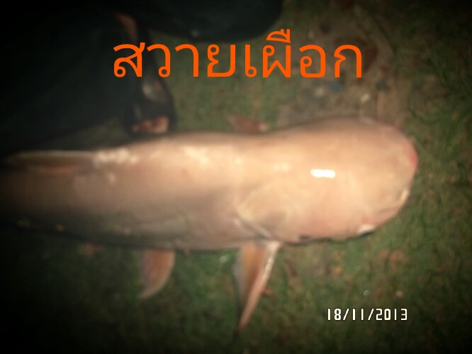 วันสนุกๆ@สกุณา