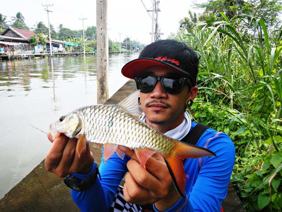 .....Finnn..แบบนี้ต้องที่นี่ "คลองดำเนิน" ( U - L Hampala Ban Phaeo ) 