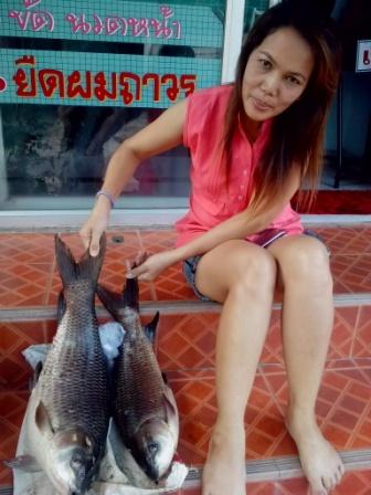 ลองส่งคับถ้าส่งได้มีอีกเยอะ(บ่อธรรมชาติกลางทุ่งนา)