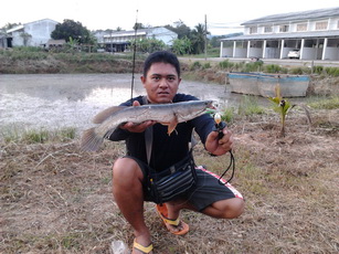 หมายธรรมชาติ29