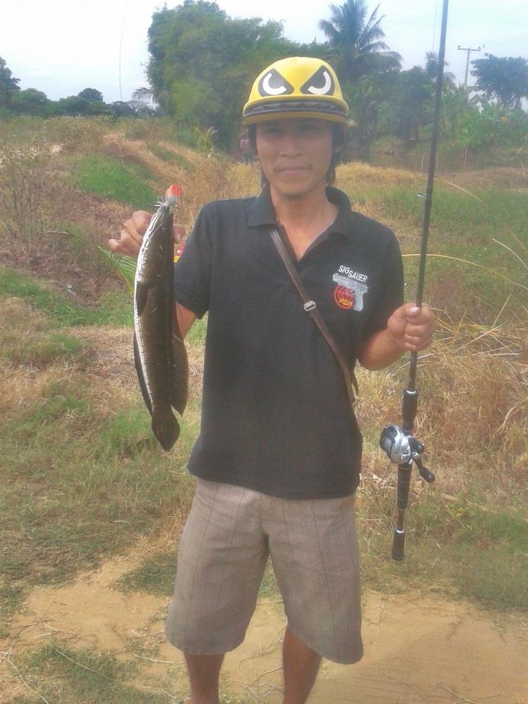 เบาๆ กับช่อนข้างทาง