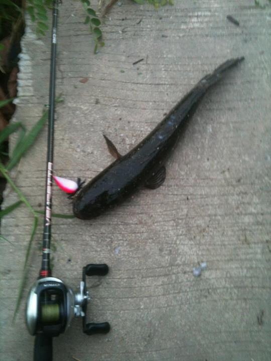 หนูดองเค็ม หลังเลิกงานกับ Snake Head Angler Club