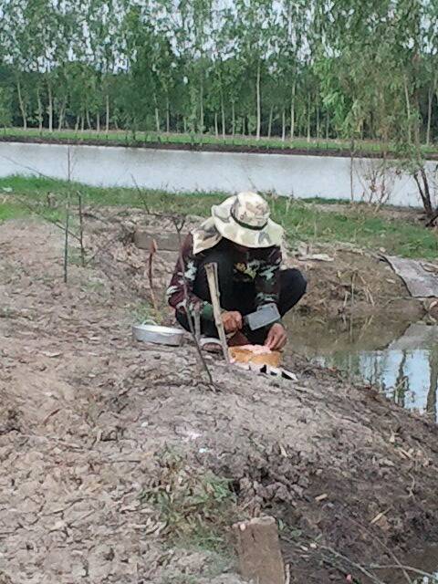 บางไทร พอได้ตัว