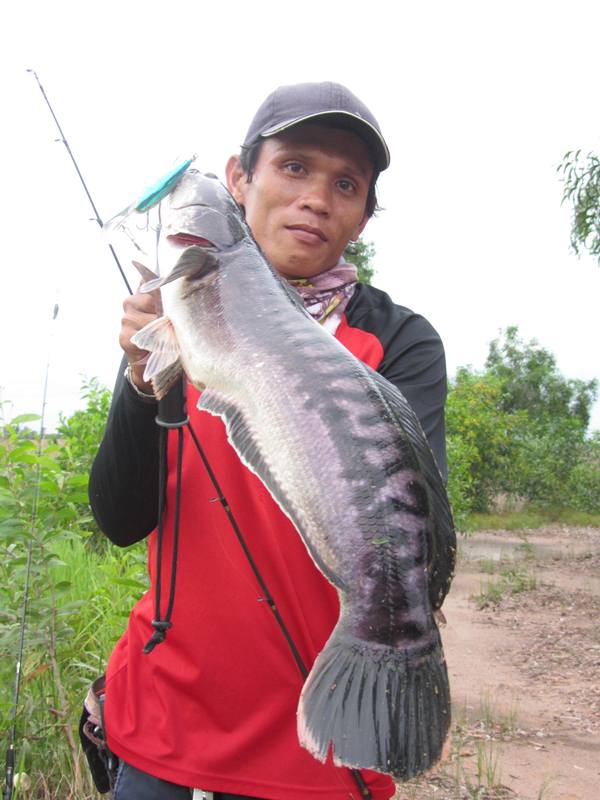 _จิบๆๆ_