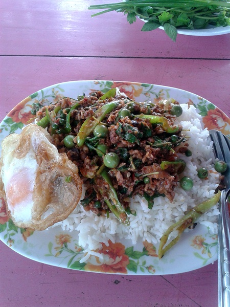 เมนูช่วยเหลือเกษตกร....ผัดเผ็ดหนูนา...ราดข้าว