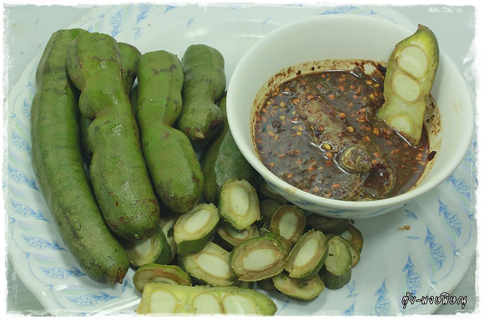 วันนี้ผมมารณรงค์ 