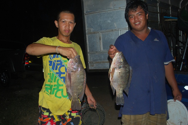 บ่อหนุ่มบางวัว (บ่อปลารวม) วันที่ 23,24 - 11 - 56