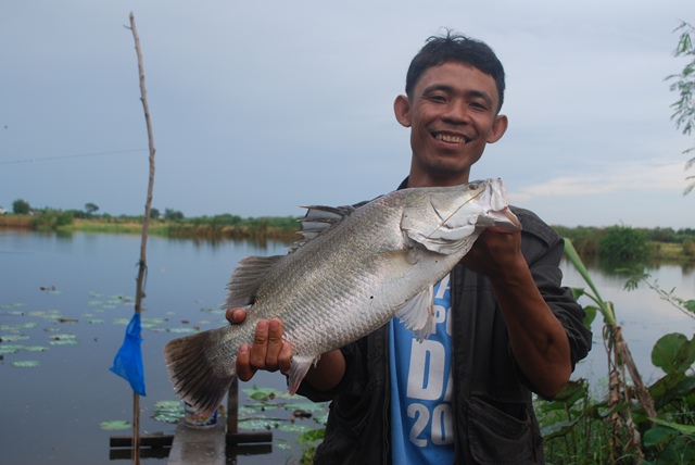 บ่อหนุ่มบางวัว (บ่อปลารวม) วันที่ 23,24 - 11 - 56