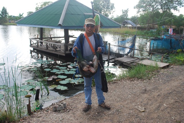 บ่อหนุ่มบางวัว (บ่อปลารวม) วันที่ 23,24 - 11 - 56