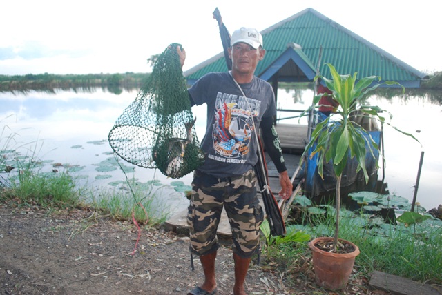บ่อหนุ่มบางวัว (บ่อปลารวม) วันที่ 23,24 - 11 - 56