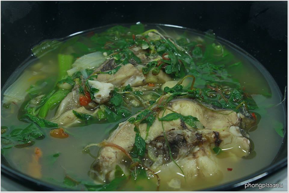 ซดร้อนๆแก้หนาว" แกงปลาช่อนนาสะเดาดิน