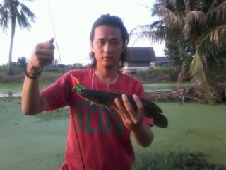 == ช่อนนา วันละตัว ==