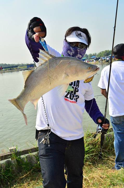งานแข่ง Megabass Asia Cup 2013@ บ่อ VIP