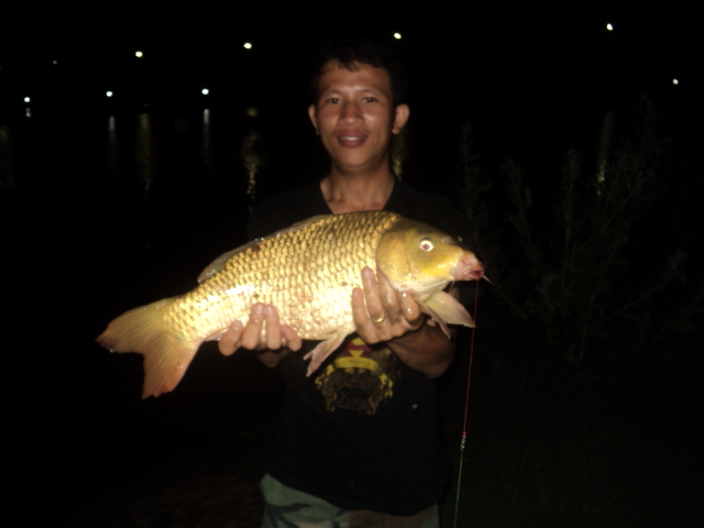 ปลาเกล็ดไซร์เอก 1.68 Kg. ลุ้นหัว 20,000 บาท 