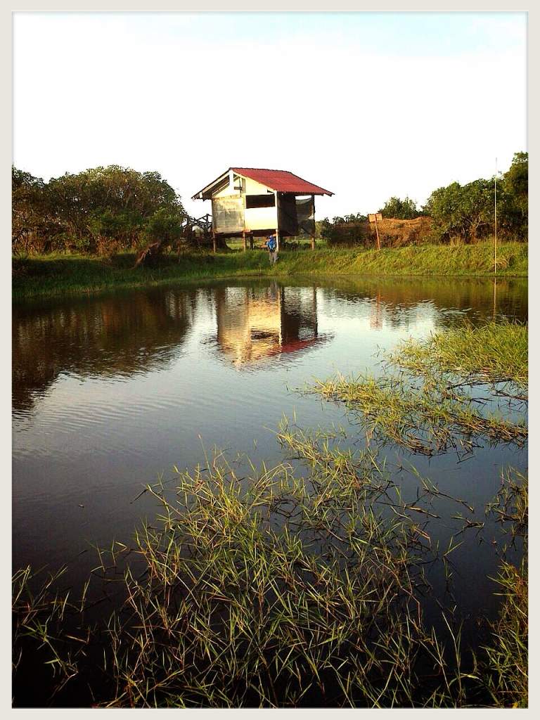 ทริปเล็กๆที่ปราจีน [FFT]