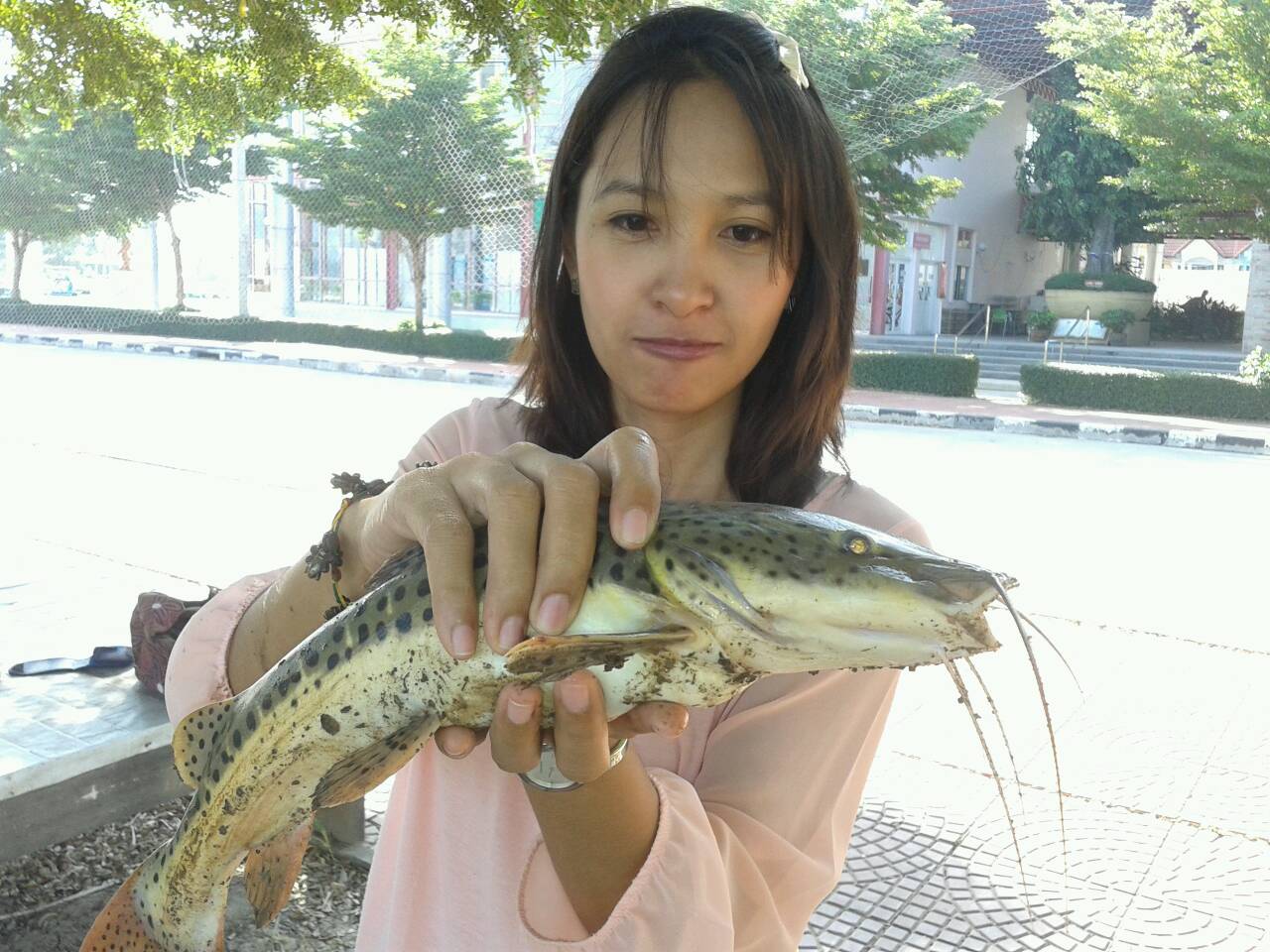 ทดสอบบ่อตกปลาอุลตร้าไลท์กะพงซะหน่อย!