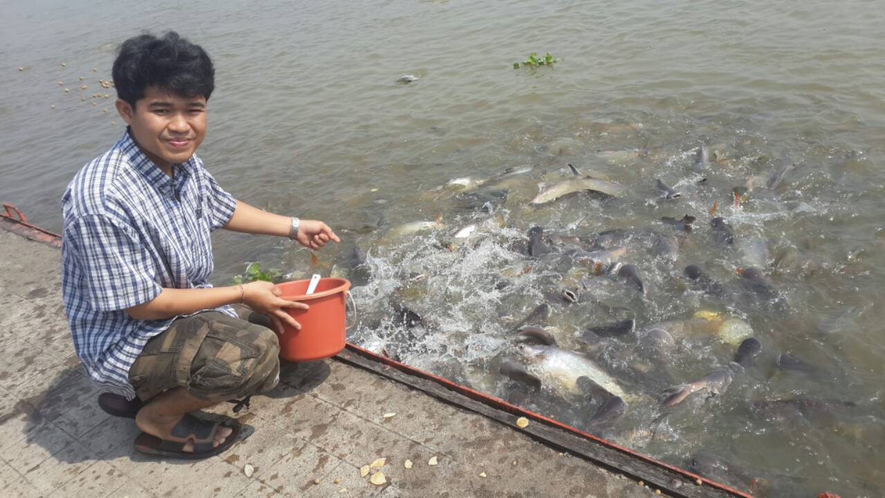 กระสูบ 7.1