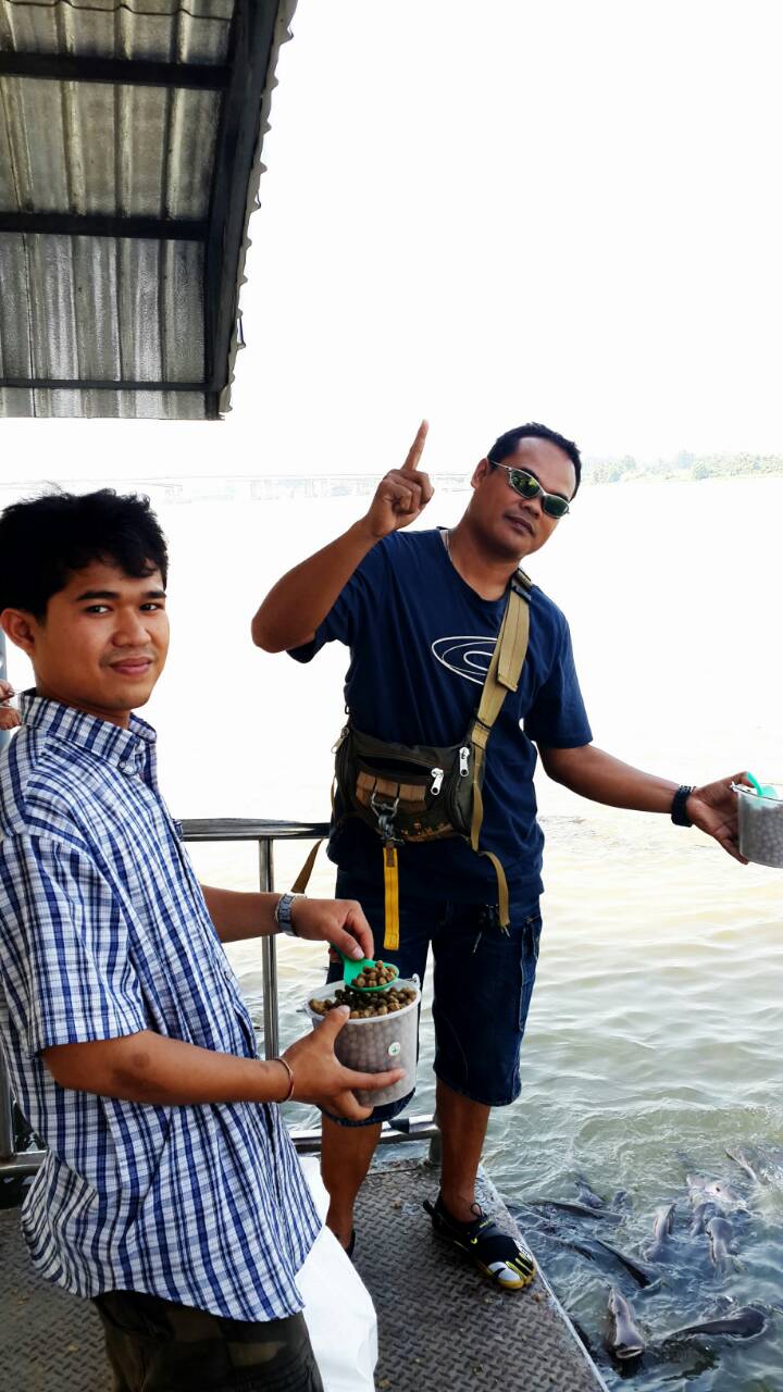 กระสูบ 7.1